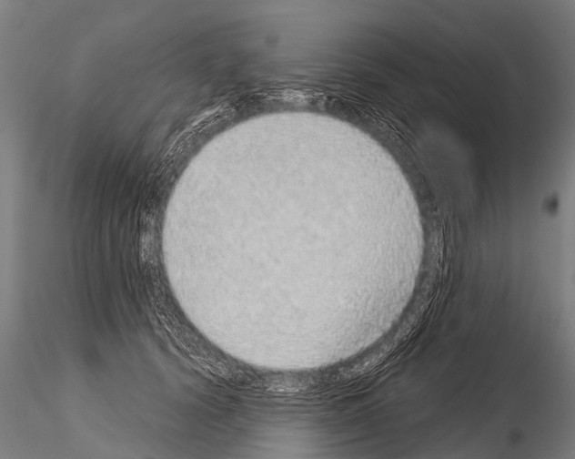 X0000115210656200912091159