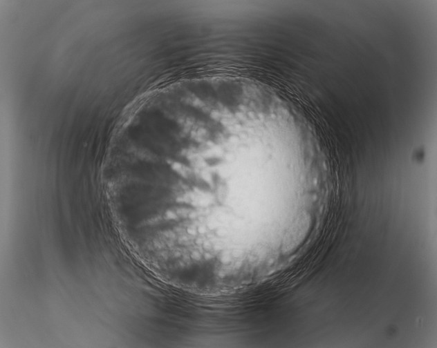 X0000115210657200912091159