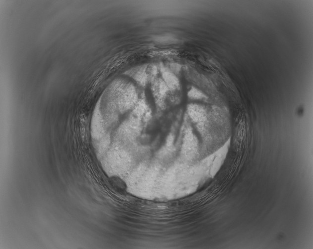 X0000115210659200912091159