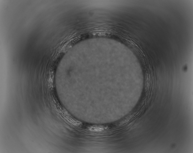 X0000115210661200912091159