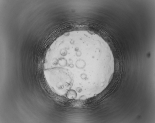 X0000115210662200912091159