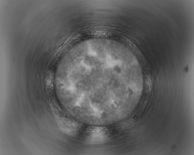 X0000115210663200912091159