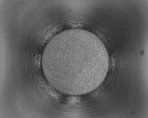 X0000115210664200912091159