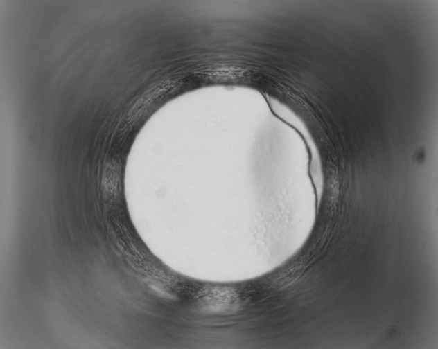 X0000115210665200912091159