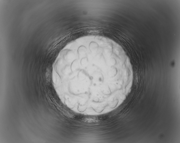 X0000115210666200912091159