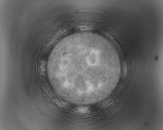 X0000115210667200912091159