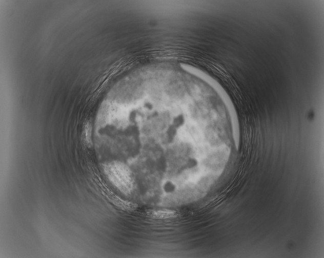 X0000115210669200912091159