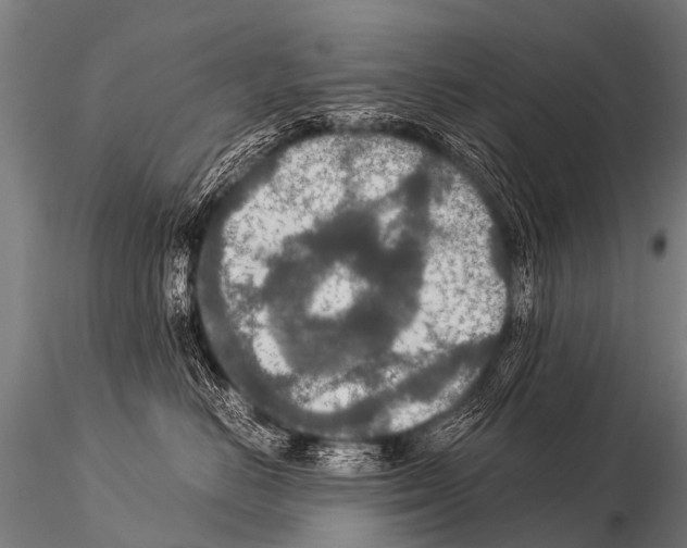 X0000115210670200912091159