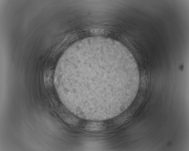 X0000115210671200912091159