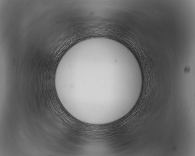 X0000115210672200912091159