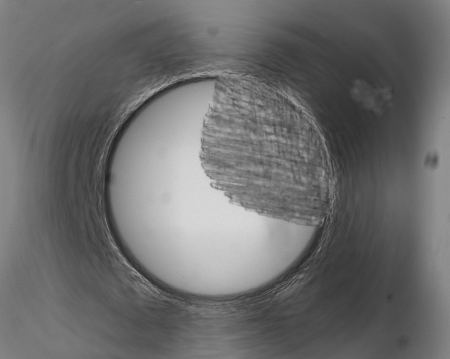 X0000115210673200912091158