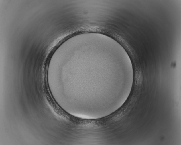 X0000115210674200912091158