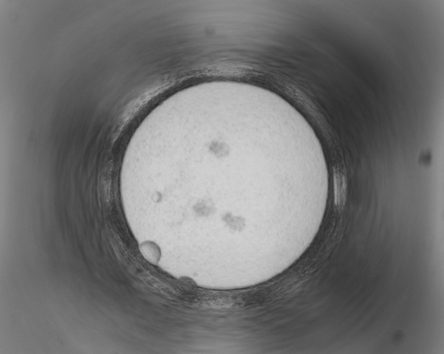 X0000115210675200912091158