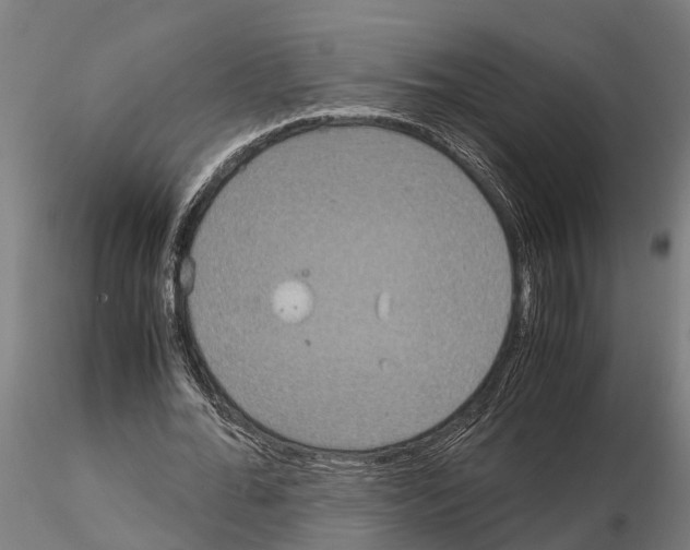 X0000115210676200912091158