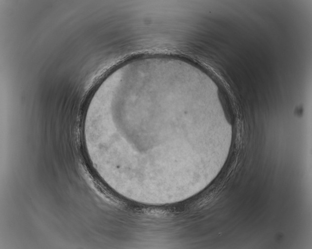 X0000115210677200912091158