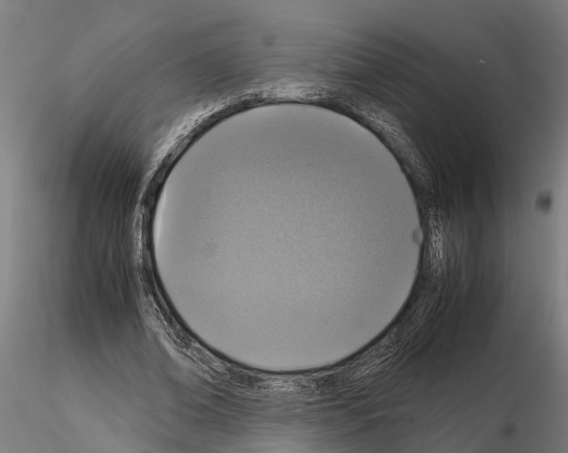 X0000115210678200912091158