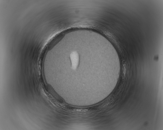 X0000115210680200912091158