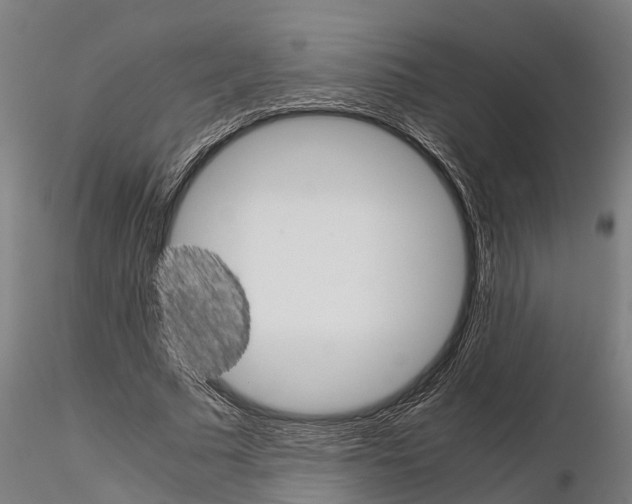 X0000115210681200912091158