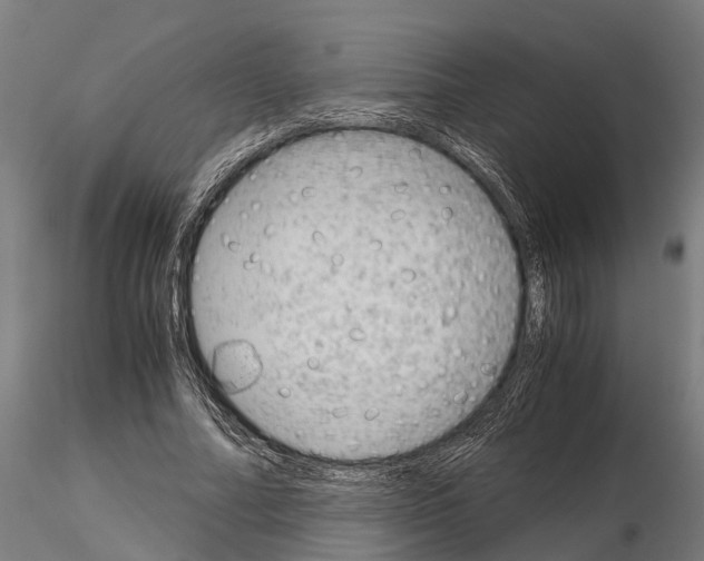 X0000115210682200912091158