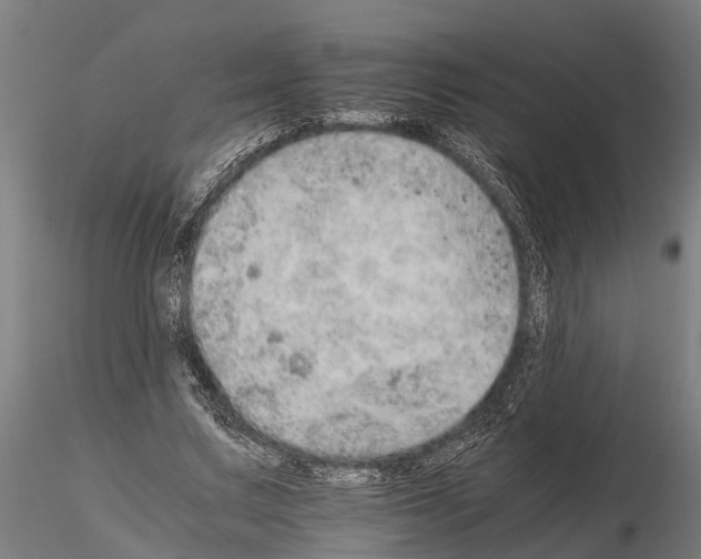 X0000115210683200912091158