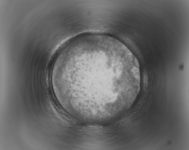 X0000115210684200912091158