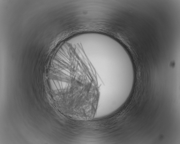 X0000115210685200912091158