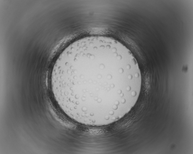 X0000115210686200912091158