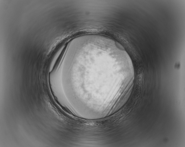 X0000115210688200912091158