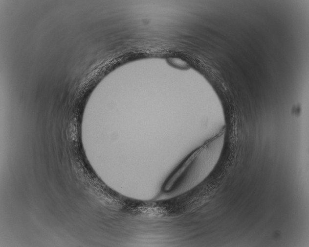 X0000115210689200912091158