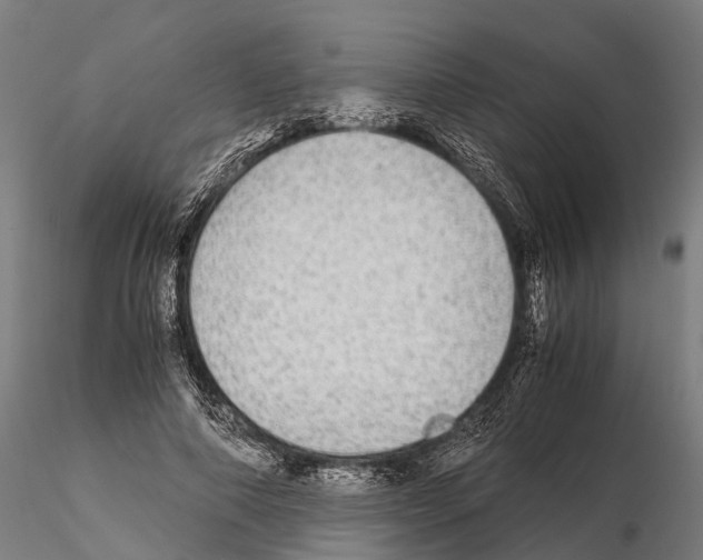 X0000115210690200912091158