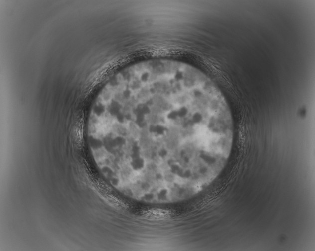 X0000115210691200912091158