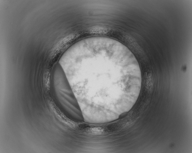 X0000115210692200912091158