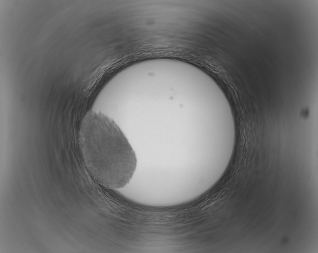 X0000115210693200912091158