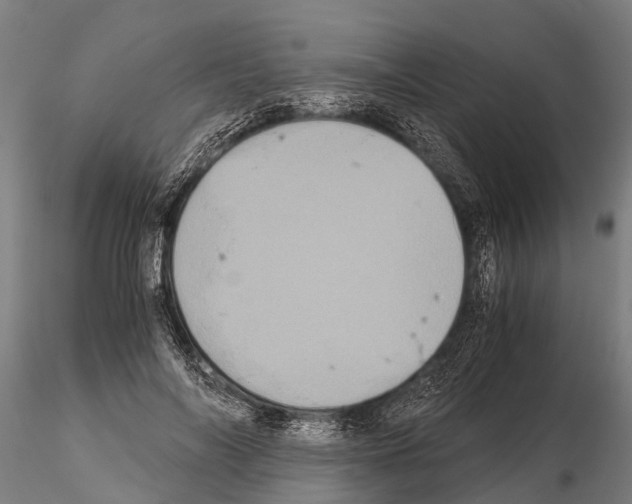 X0000115210694200912091158