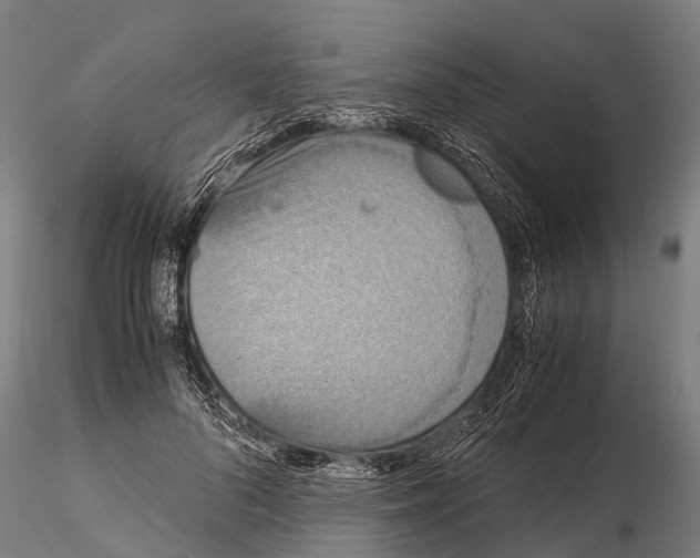 X0000115210696200912091158