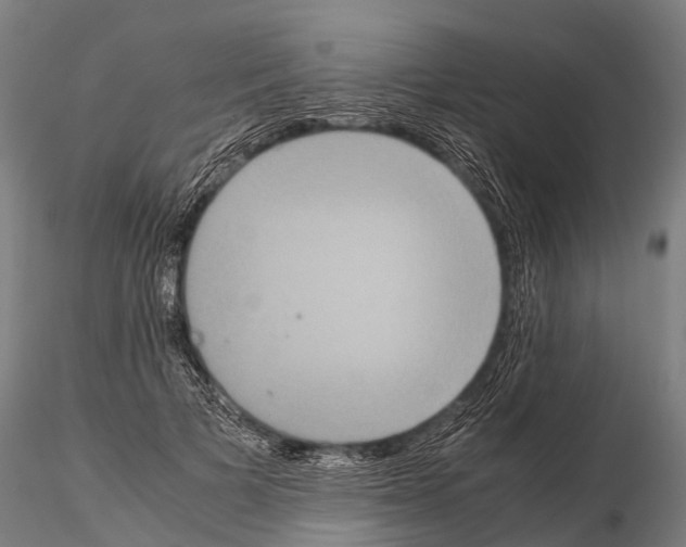 X0000115210697200912091158