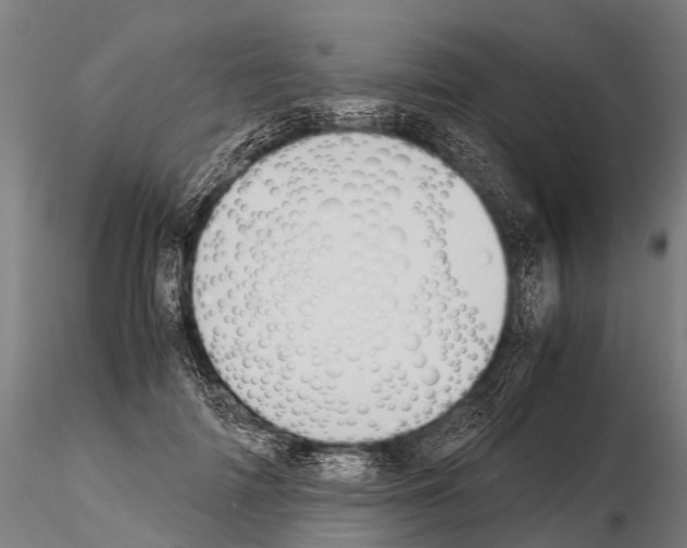 X0000115210698200912091158