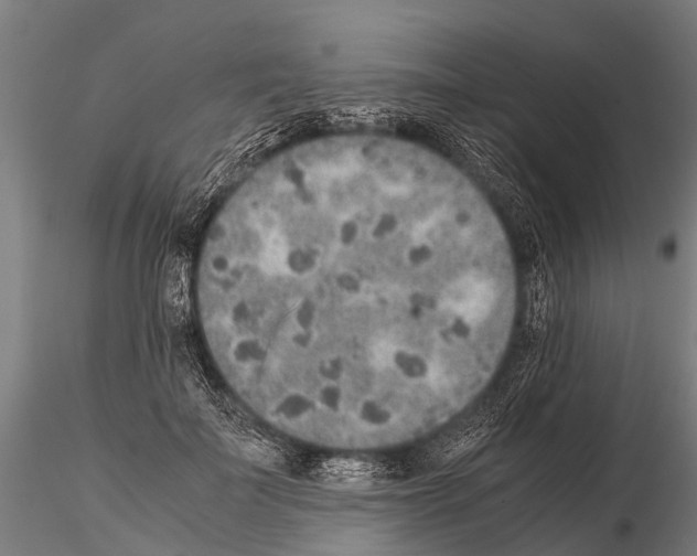 X0000115210699200912091158