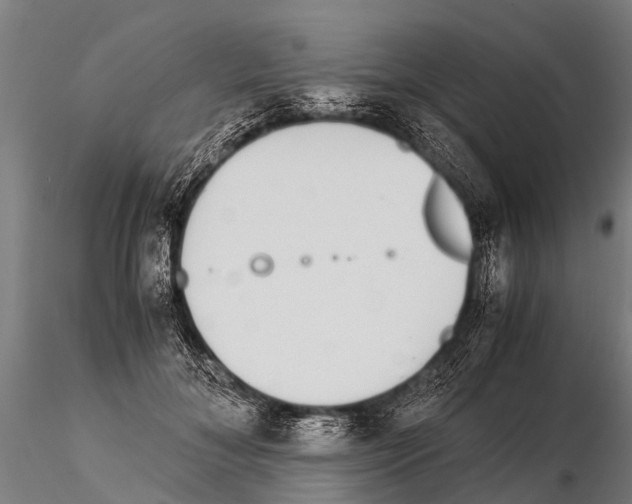 X0000115210700200912091158