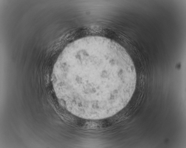 X0000115210703200912091158