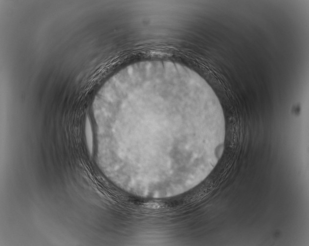 X0000115210704200912091158