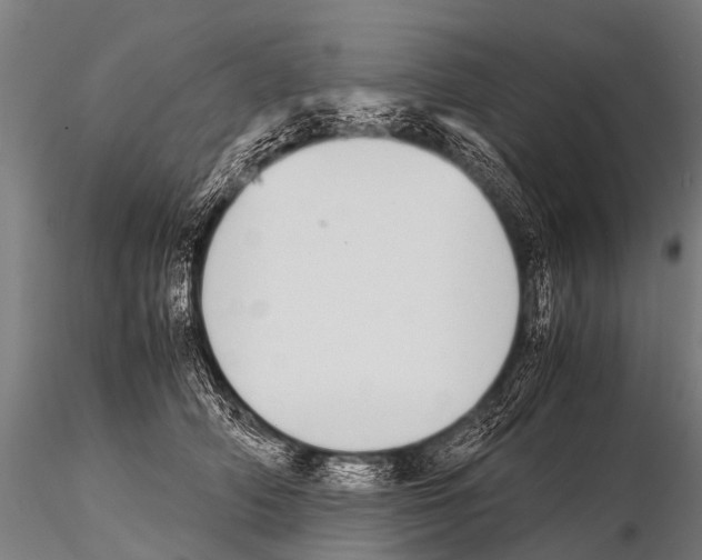 X0000115210706200912091158