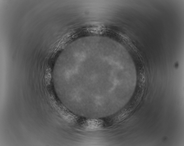 X0000115210707200912091158