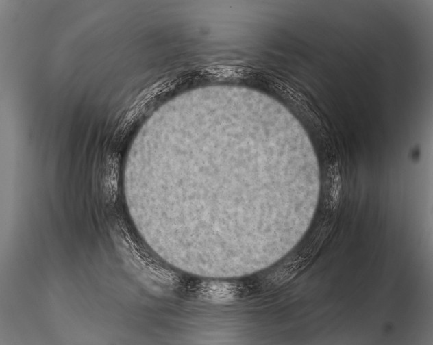 X0000115210710200912091158