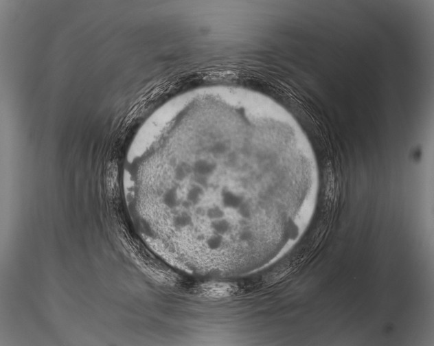 X0000115210711200912091158