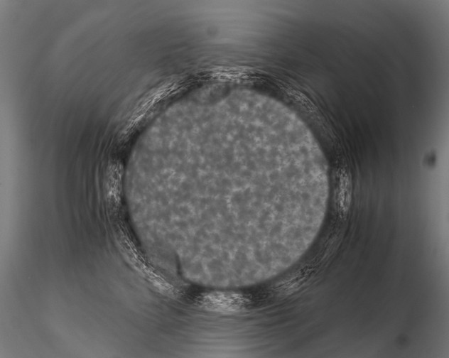 X0000115210712200912091158