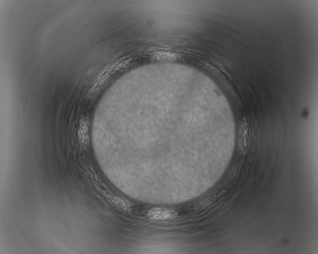 X0000115210714200912091158