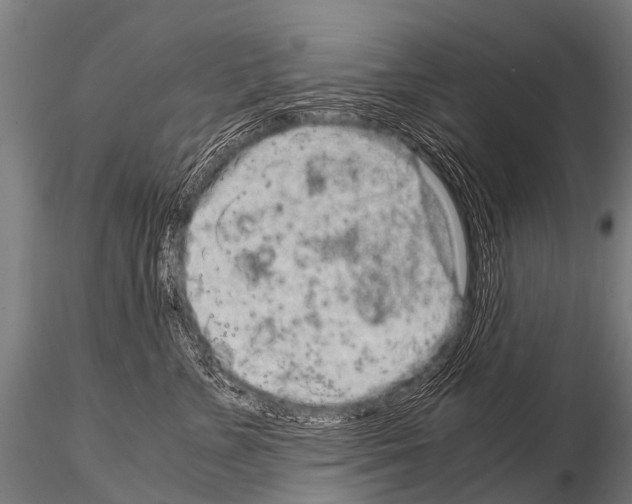 X0000115210715200912091158