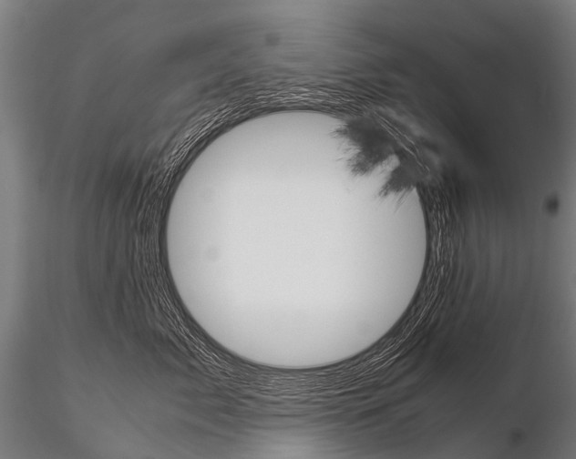 X0000115210717200912091158