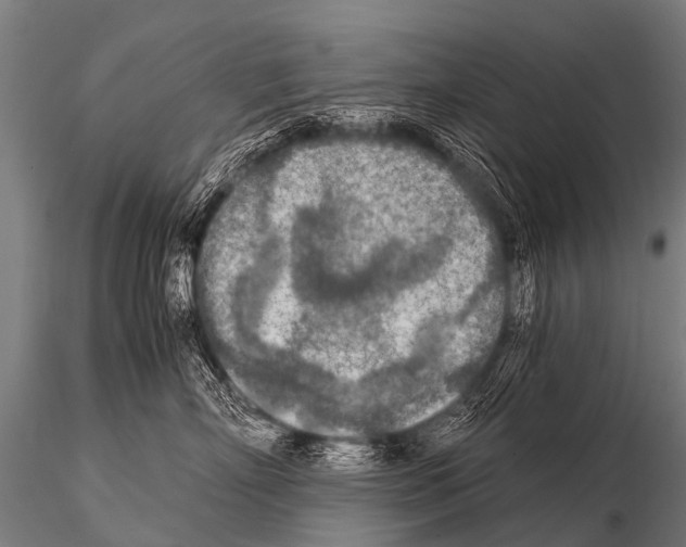 X0000115210718200912091158